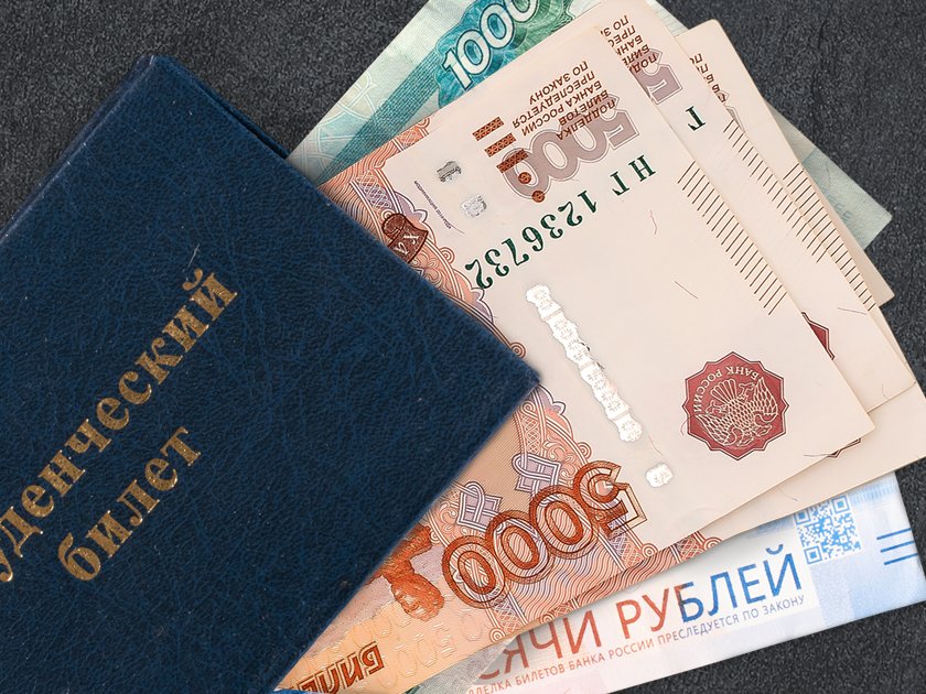Стипендия до 50 тысяч рублей в месяц: какие выплаты, пособия и льготы могут получить студенты