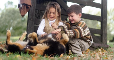 Главное изображение