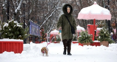 Главное изображение