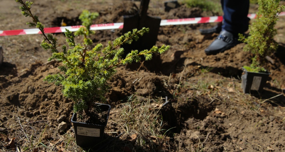 Изображение темы дня