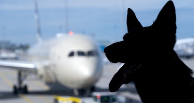 Главное изображение