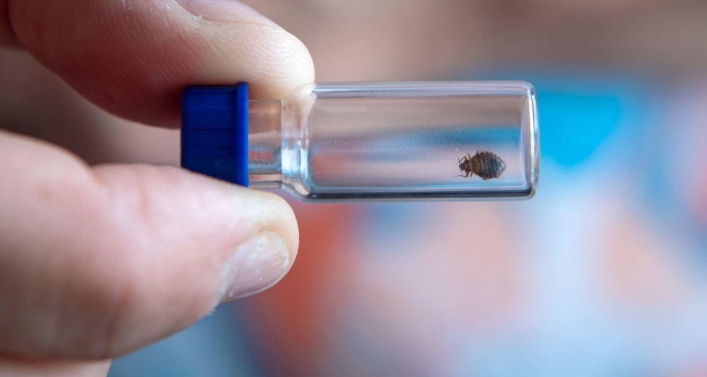 Изображение темы дня