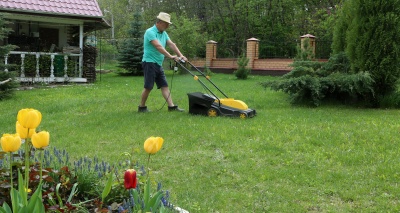 Главное изображение