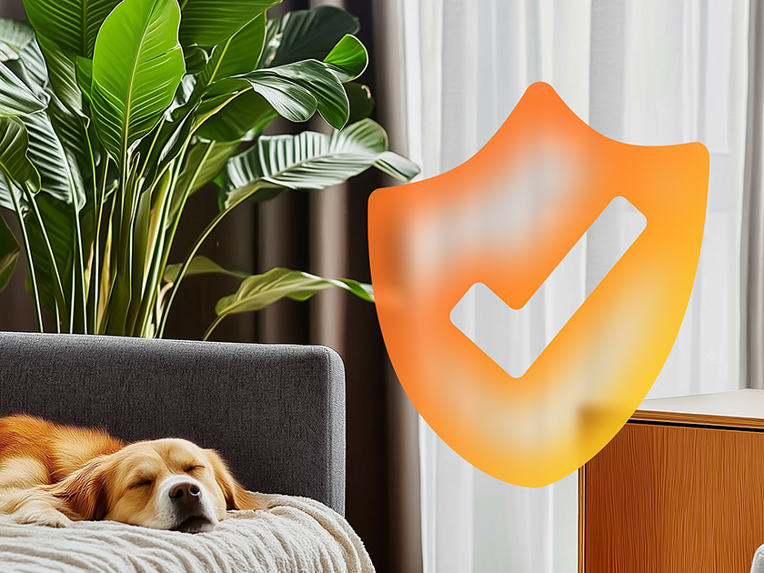 Можно ли получить выплаты от двух страховых компаний по полисам страхования квартиры