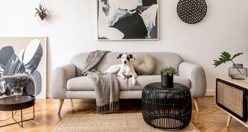 Изображение темы дня