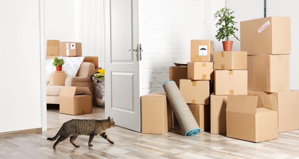 Изображение темы дня