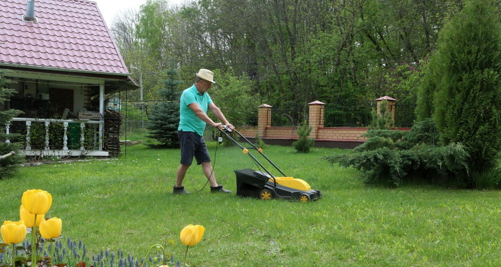 Изображение темы дня