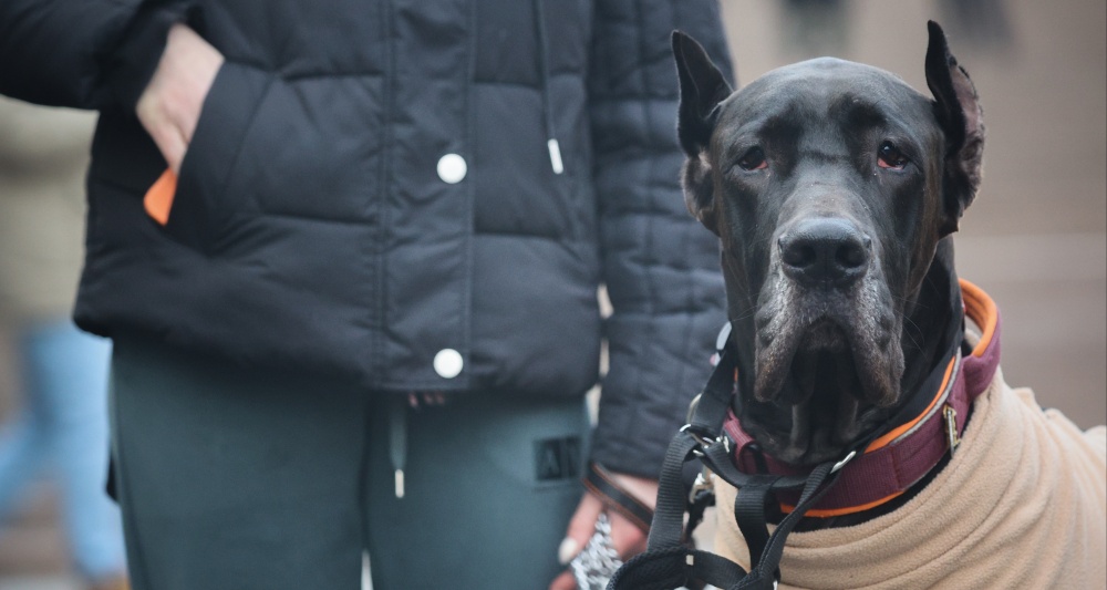 Изображение темы дня