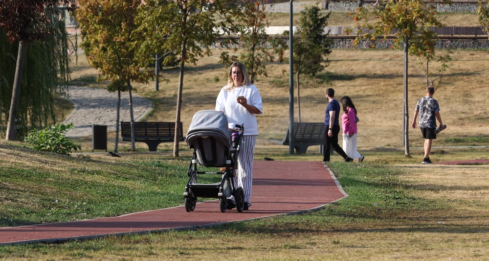 Изображение темы дня