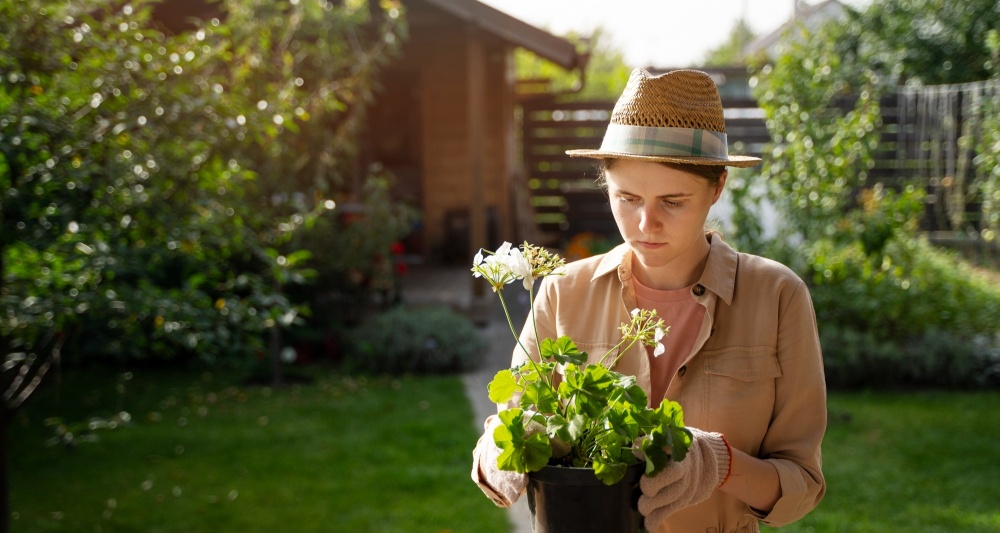 Изображение темы дня