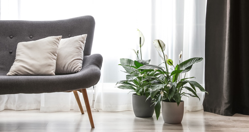 Изображение темы дня