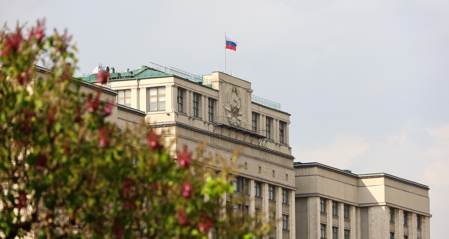 В Госдуме предложили бороться с мошенниками кодовым словом