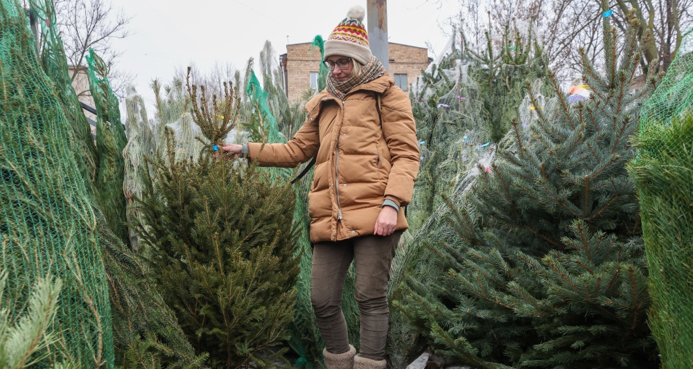 Изображение темы дня