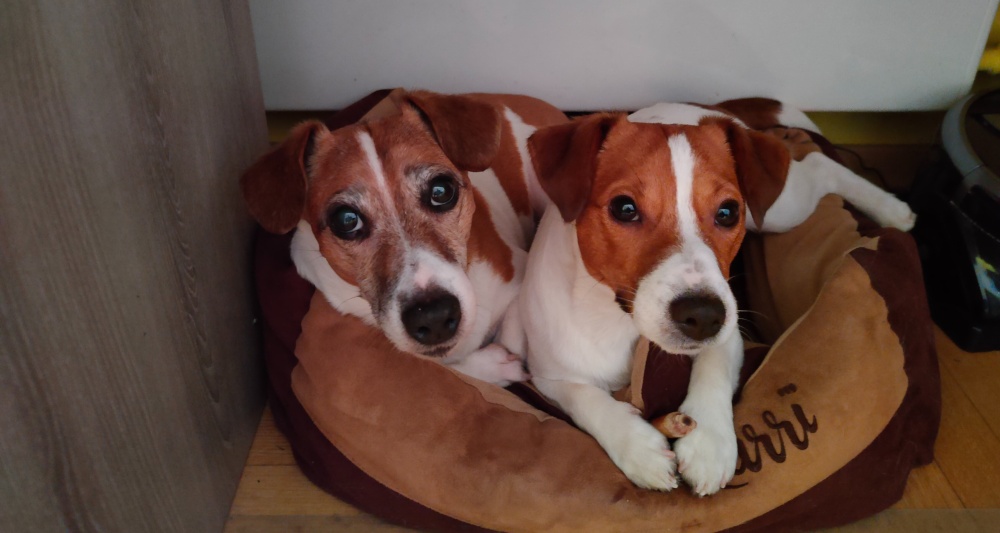 Изображение темы дня