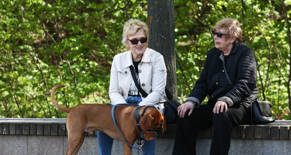 Изображение новости