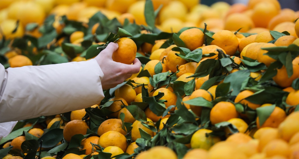 Изображение темы дня