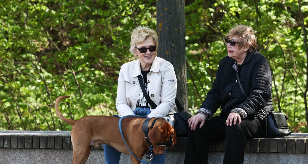 Изображение темы дня