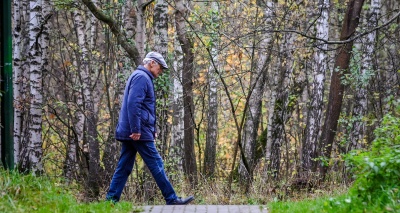 Главное изображение