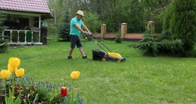 Главное изображение