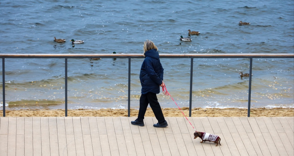 Изображение темы дня