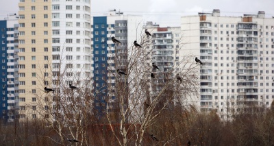 Главное изображение